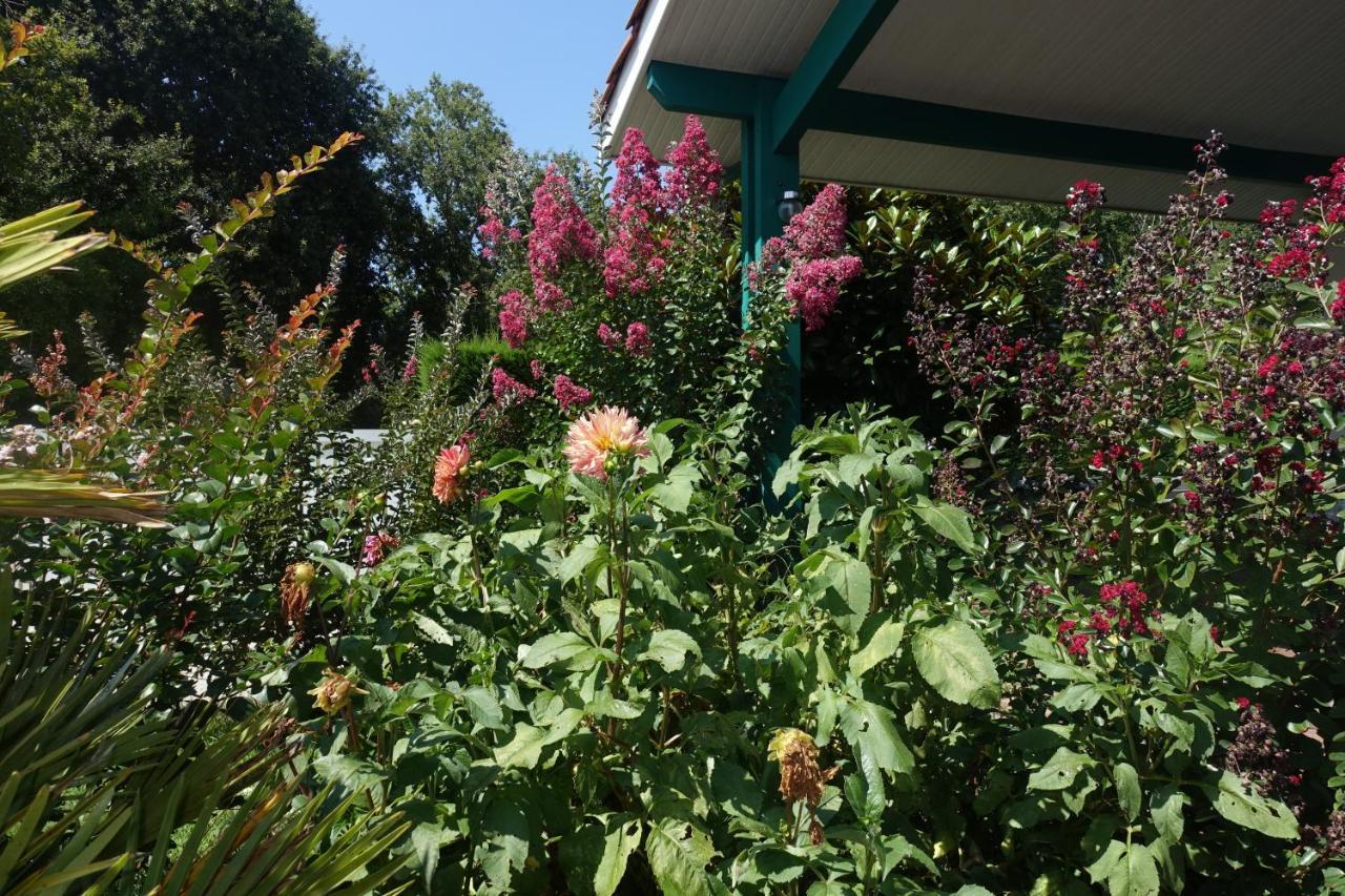 Bed and Breakfast L Annexe Biscarrosse Exterior foto